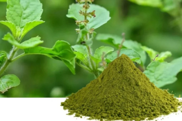 Herbal Extract Powder